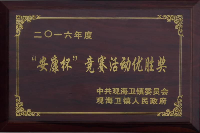公司荣誉 03