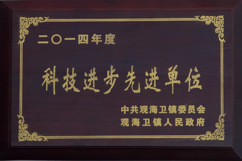 公司荣誉 05
