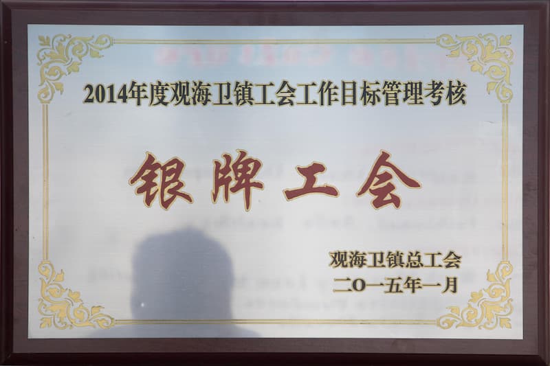 公司荣誉 10